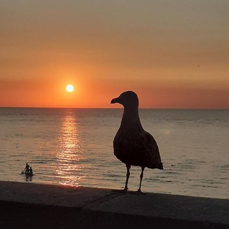 Camping Les Falaises De Toussaint Esterno foto